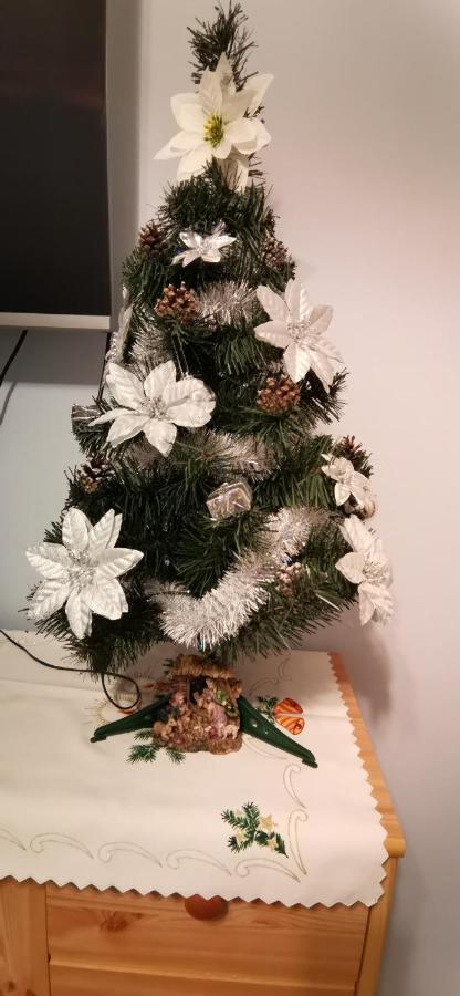 Apartament Milka W Dusznikach Zdroju 두슈니키 즈드로지 외부 사진