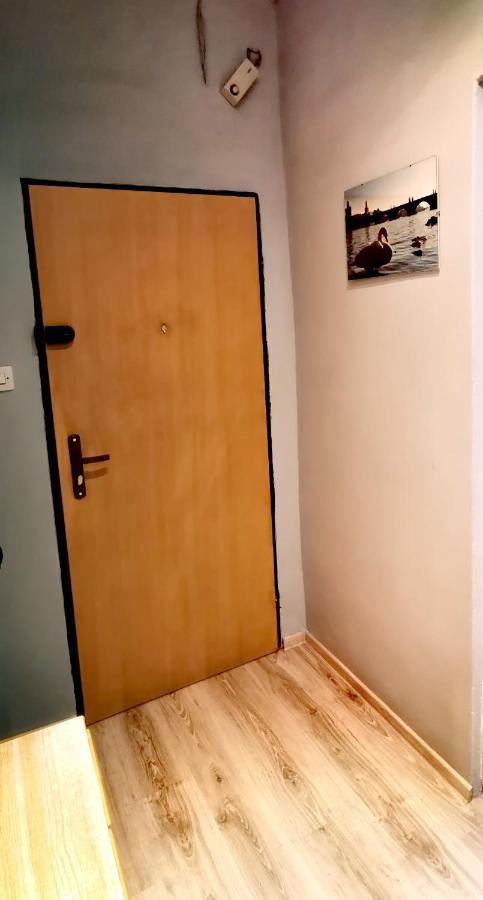 Apartament Milka W Dusznikach Zdroju 두슈니키 즈드로지 외부 사진