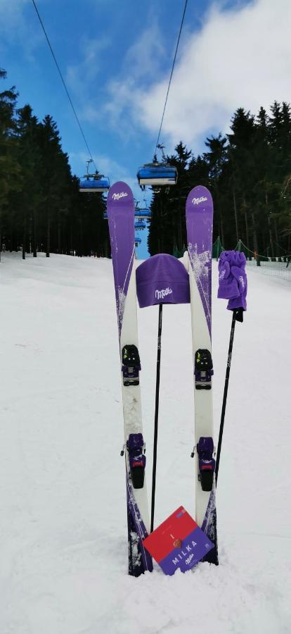 Apartament Milka W Dusznikach Zdroju 두슈니키 즈드로지 외부 사진