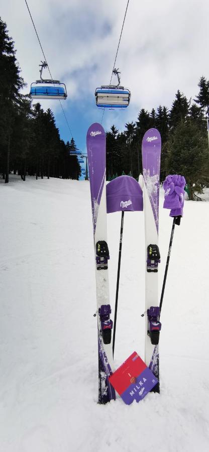 Apartament Milka W Dusznikach Zdroju 두슈니키 즈드로지 외부 사진