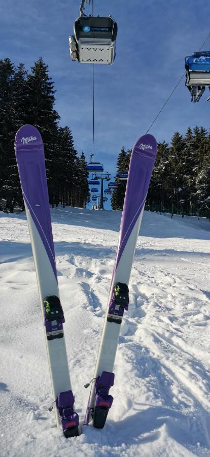 Apartament Milka W Dusznikach Zdroju 두슈니키 즈드로지 외부 사진