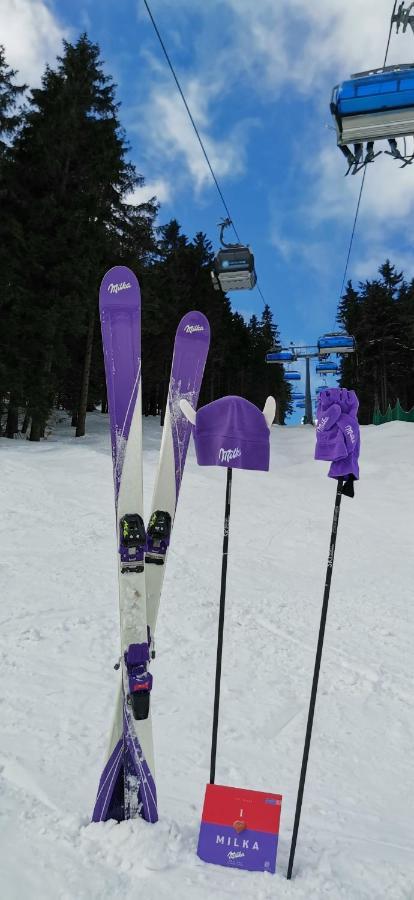 Apartament Milka W Dusznikach Zdroju 두슈니키 즈드로지 외부 사진