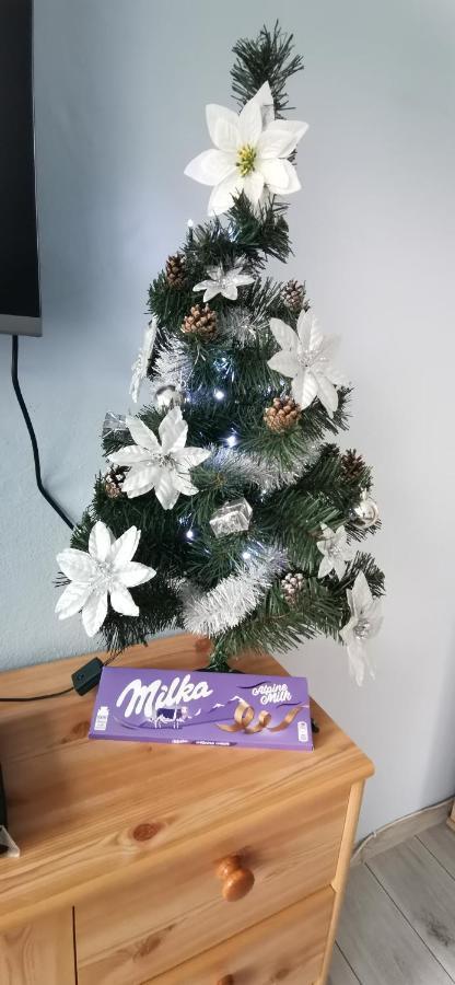 Apartament Milka W Dusznikach Zdroju 두슈니키 즈드로지 외부 사진