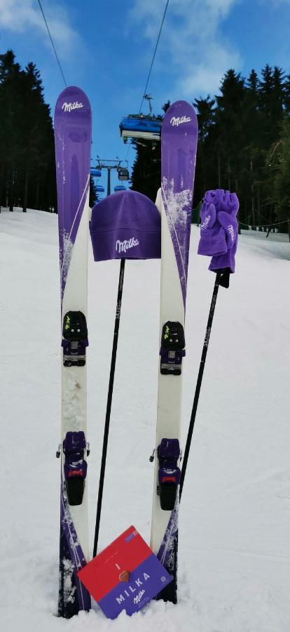 Apartament Milka W Dusznikach Zdroju 두슈니키 즈드로지 외부 사진