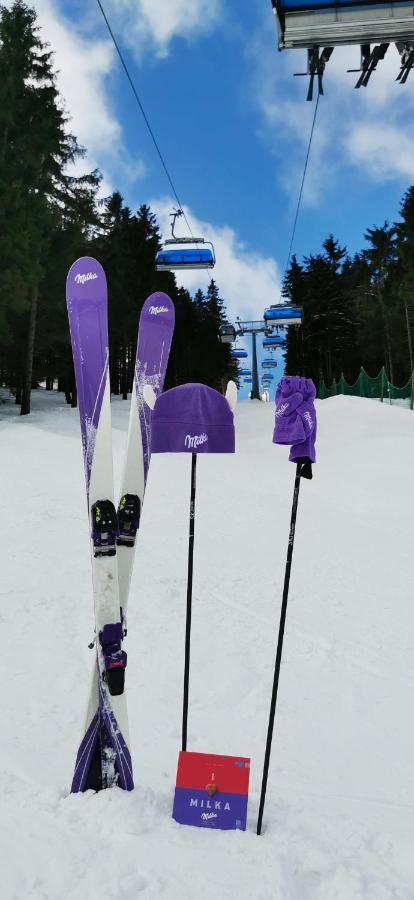 Apartament Milka W Dusznikach Zdroju 두슈니키 즈드로지 외부 사진